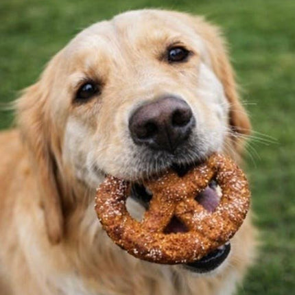 Twisty Sweet Pretzel for Pets
